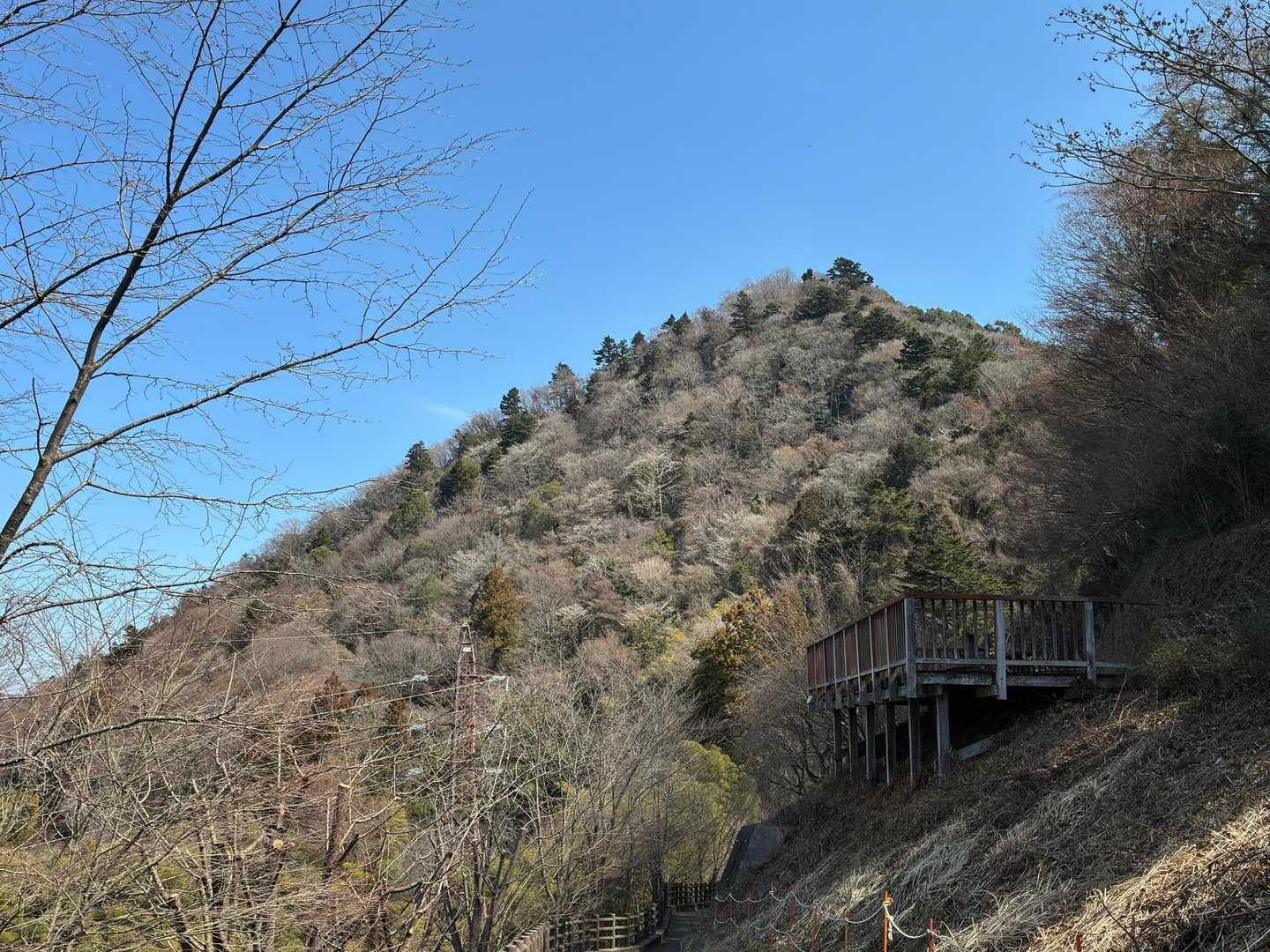 城山登山口-不動平 往復コースの写真