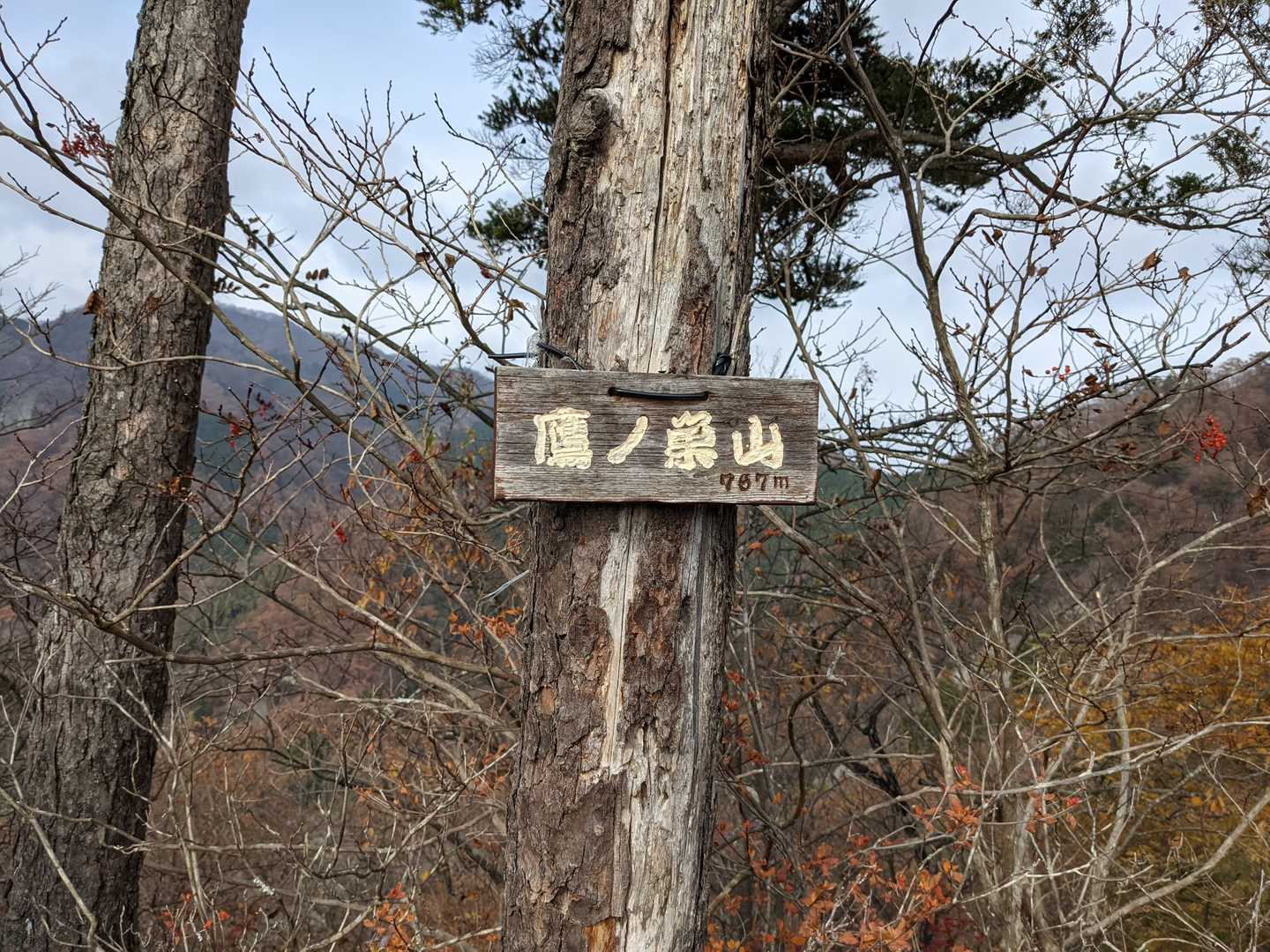 頂上⛰