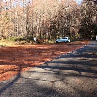うわぁー
誰もいないんかいー
こんなに登山日和なのに🤣
3時にここ来たときも1台だけだった
たぶん避難小屋泊まりの人
勿体無いねぇ😆