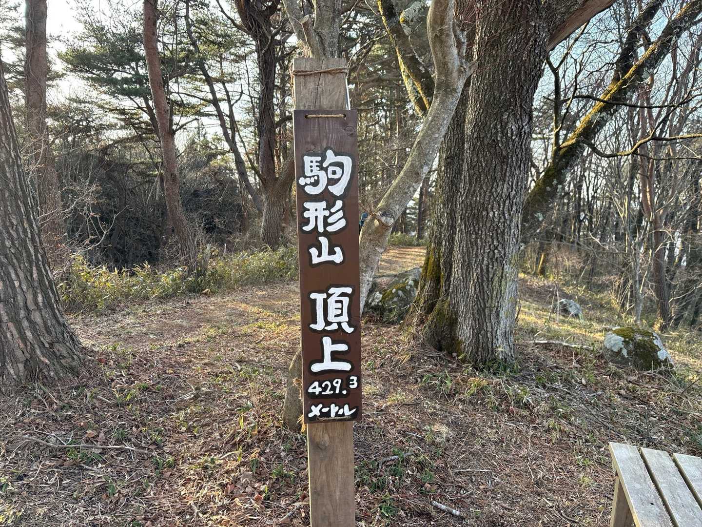 駒形山登頂ー！
