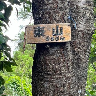 (#8東山)