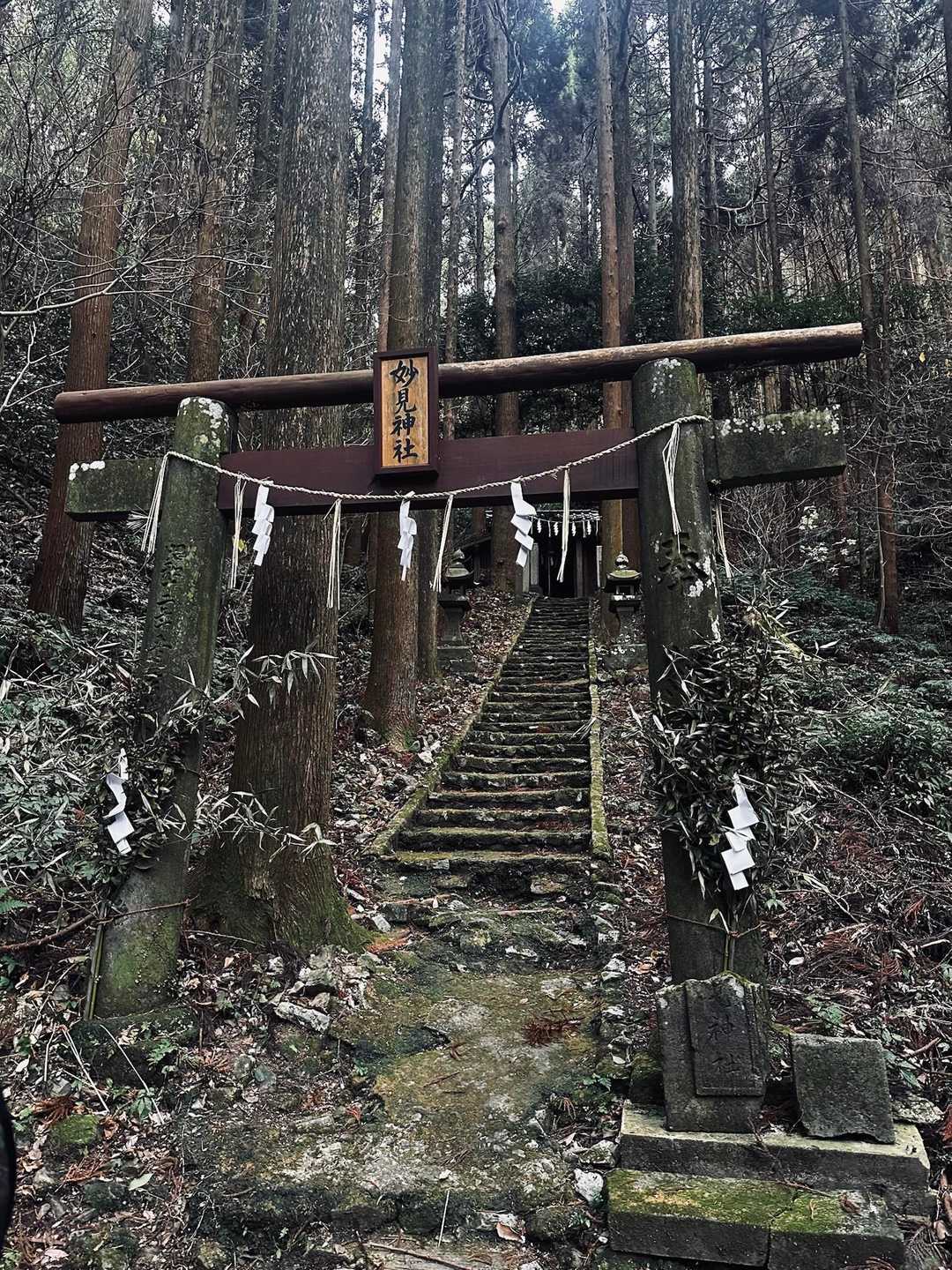 九州オルレ 久留米・高良山コースの写真