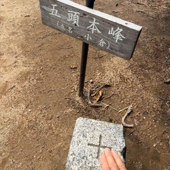 ついに登頂！