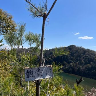 到着　観音山からの景色は本当に気持ちがいい。大好きな場所のひとつ🩷