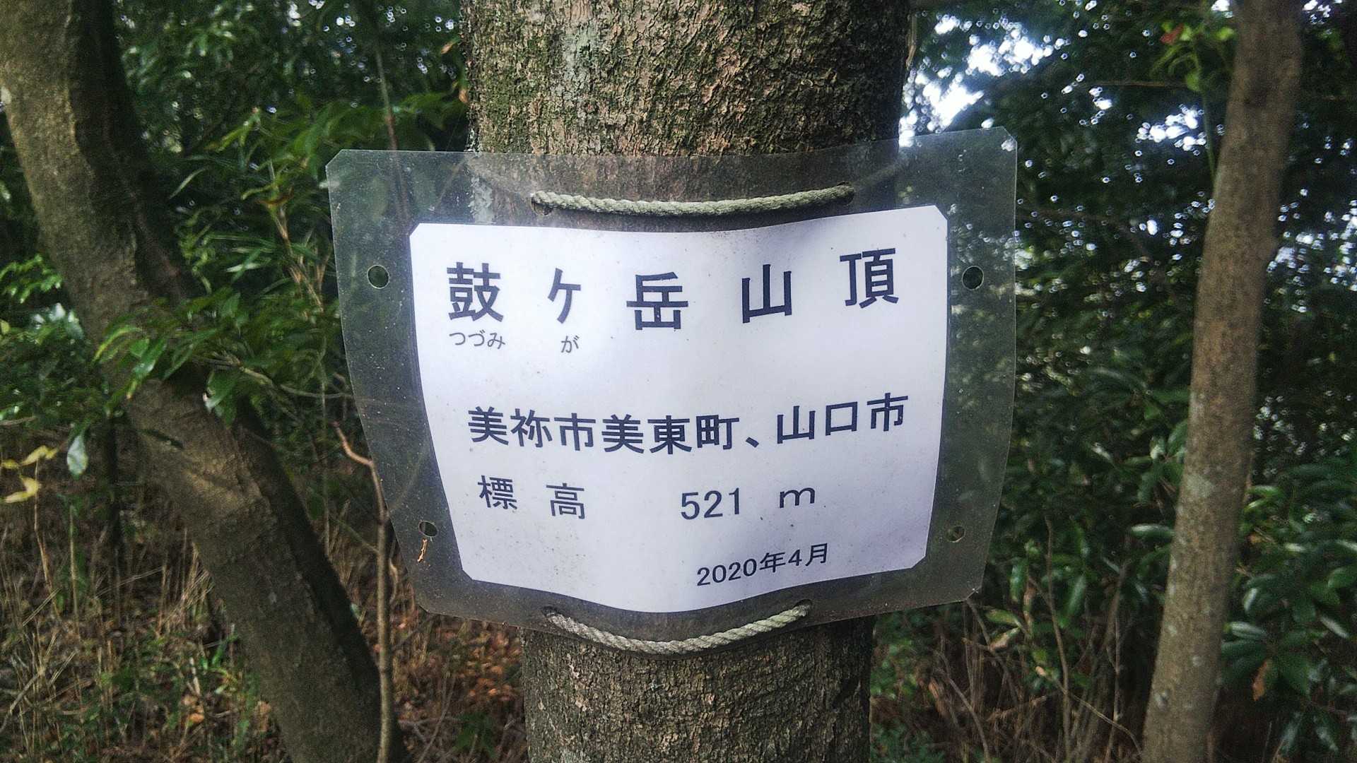 ということで鼓ヶ岳山頂着✌️