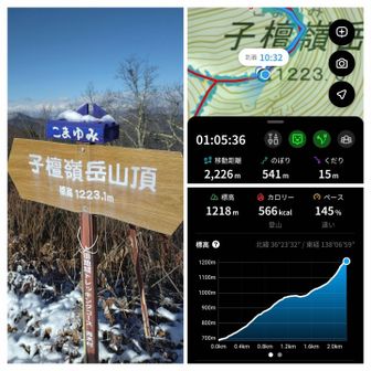 着いた〰️  こまゆみ