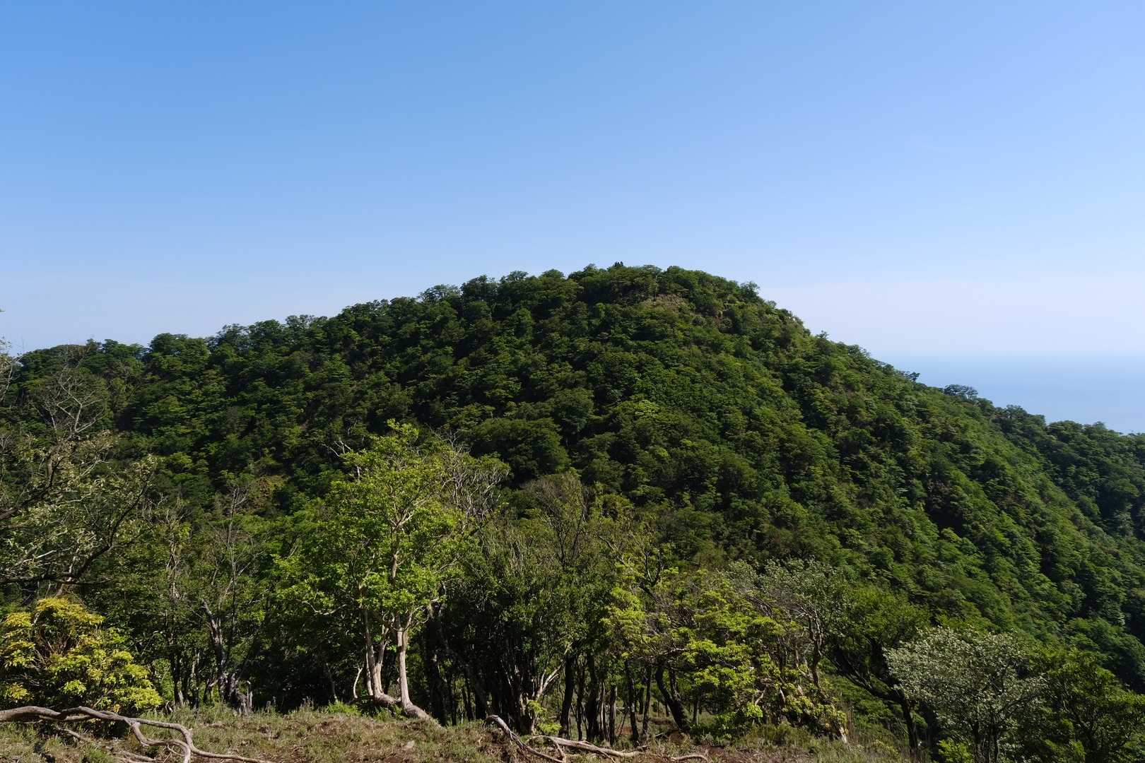 愛鷹山が目の前です。