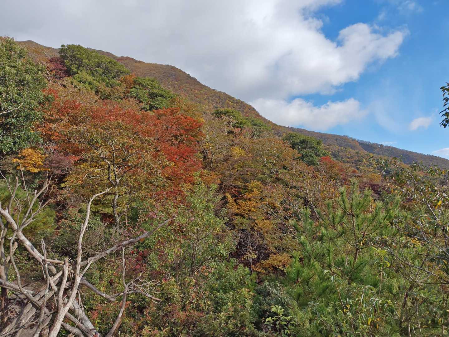 表道登山道 コースの写真