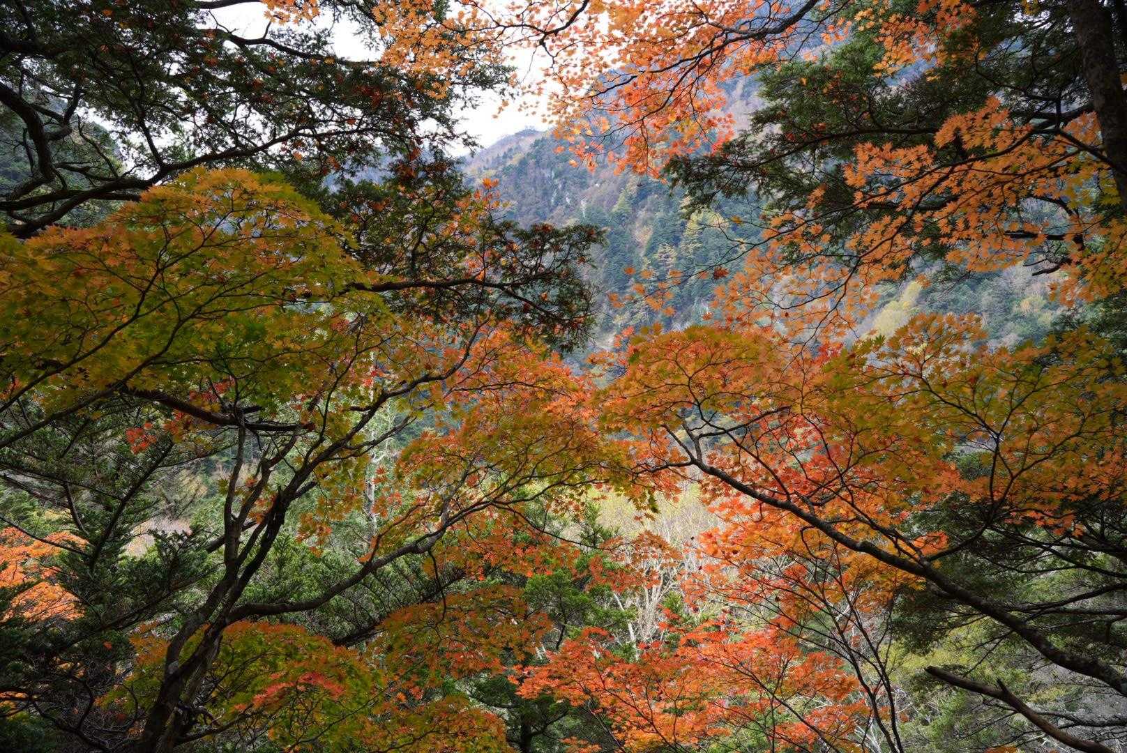 大正池バス停-大正池-大正池-田代池-上高地西穂高岳登山口 縦走コースの写真