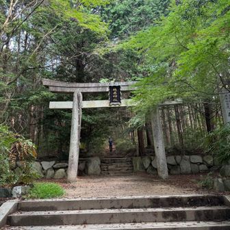 今日は、ここから歩きます。

ここから登るのがなんか落ち着くよね〜