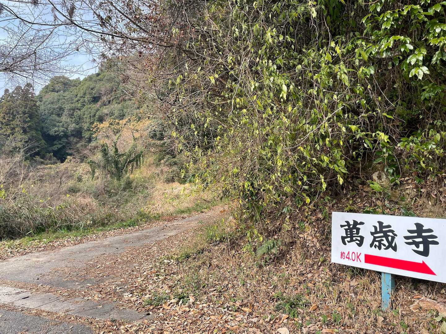 ロードからここへ入ります

通り過ぎて大分戻りました😅
