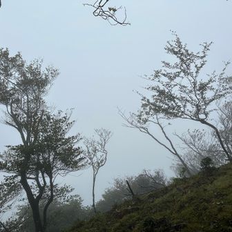 引き返し丸山へ🚶‍♀️