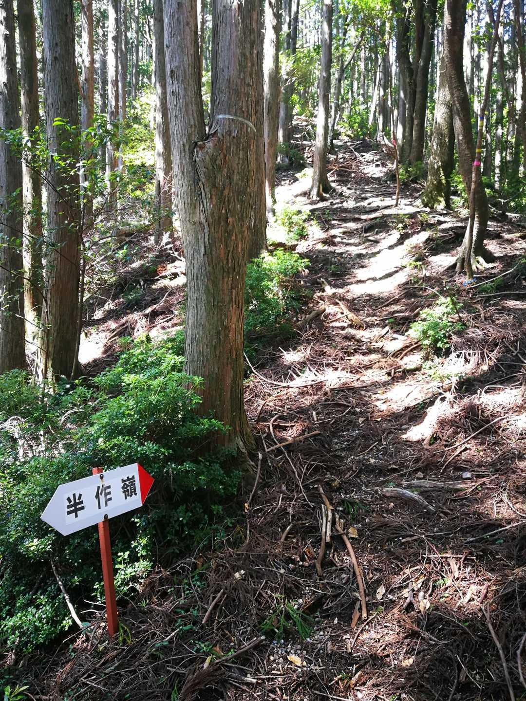 半作峠-半作嶺 往復コースの写真