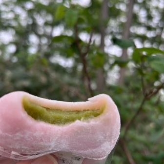 ピンクと緑が可愛い〜
えんどう餡の大福食べて復活👍
