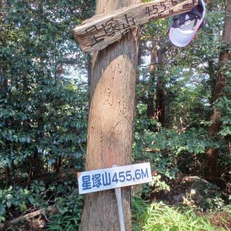 山頂です～
