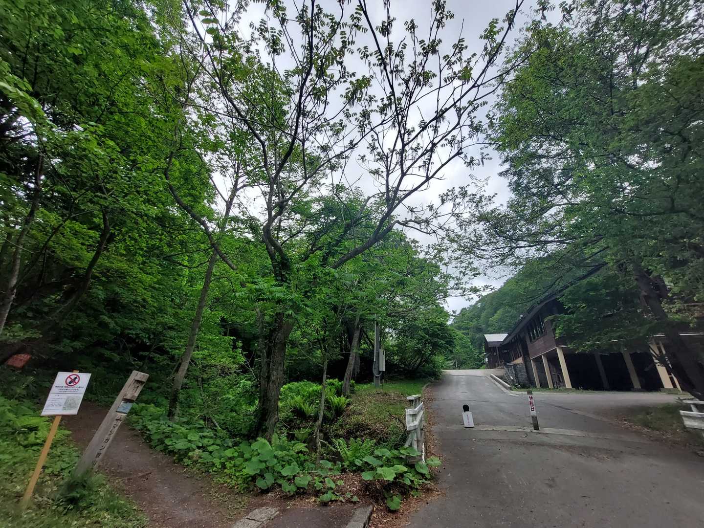 浪岡インターを下りてすぐだけど、この山の中感✨