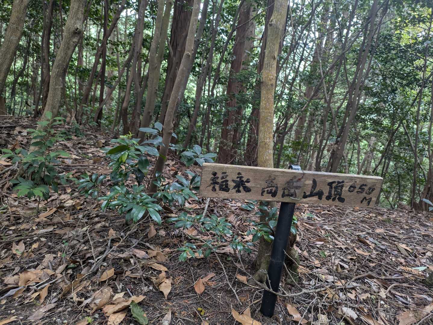 YAMAPには記載されてない
高岳山🗻