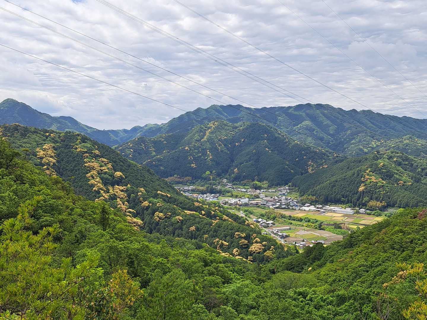 のどかな風景