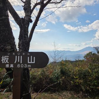 いたごさん…なのね