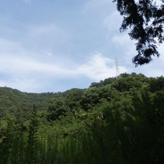 振り返ってあいさつ