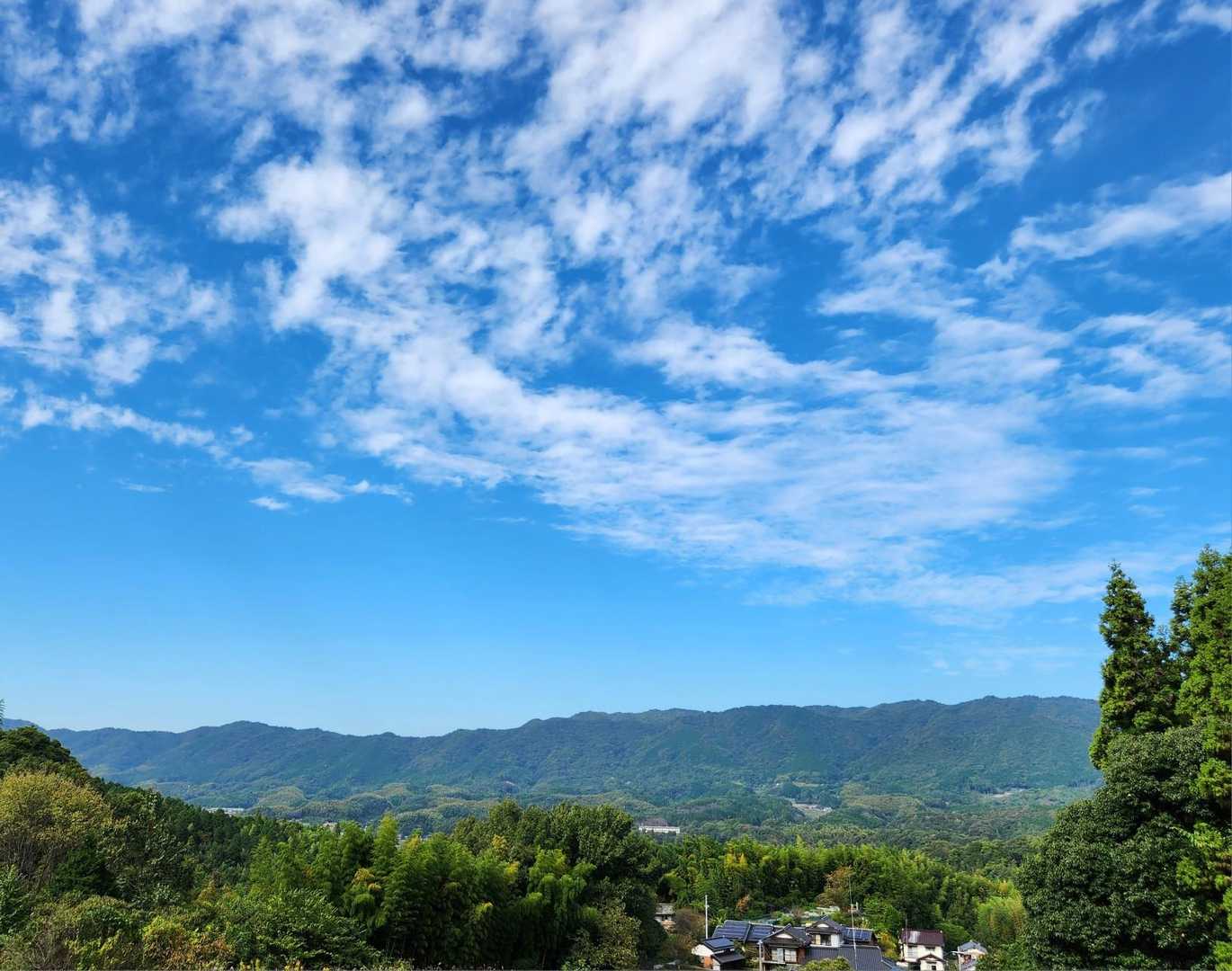 鶴羽山 周回コースの写真