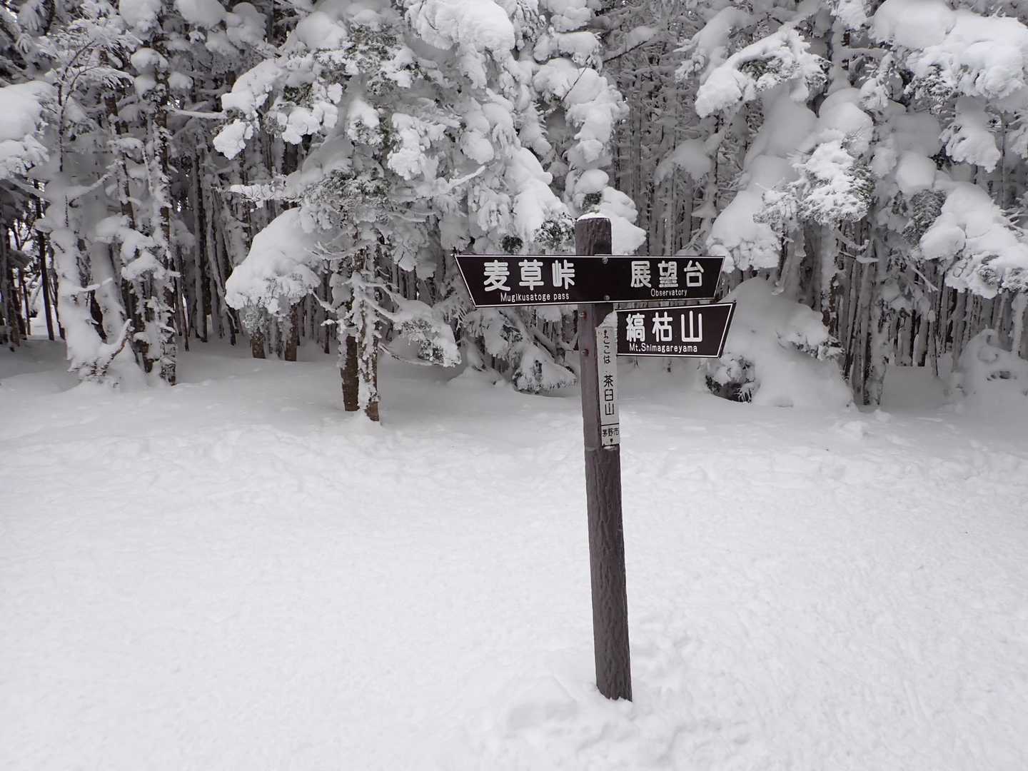 縞枯山・茶臼山周回 | 溶岩台地から、北八ヶ岳の特異な植生を実感しつつ逍遥の写真
