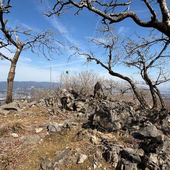 大鉢山山頂✨奥の所に行かず山名板見逃した
