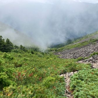 なかなかの急登だった