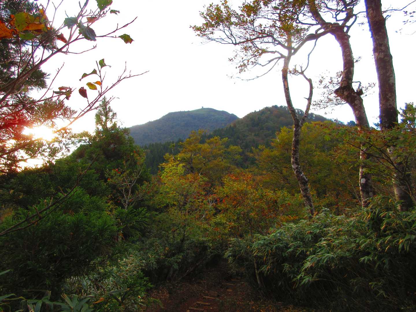 中央：氷ノ山
