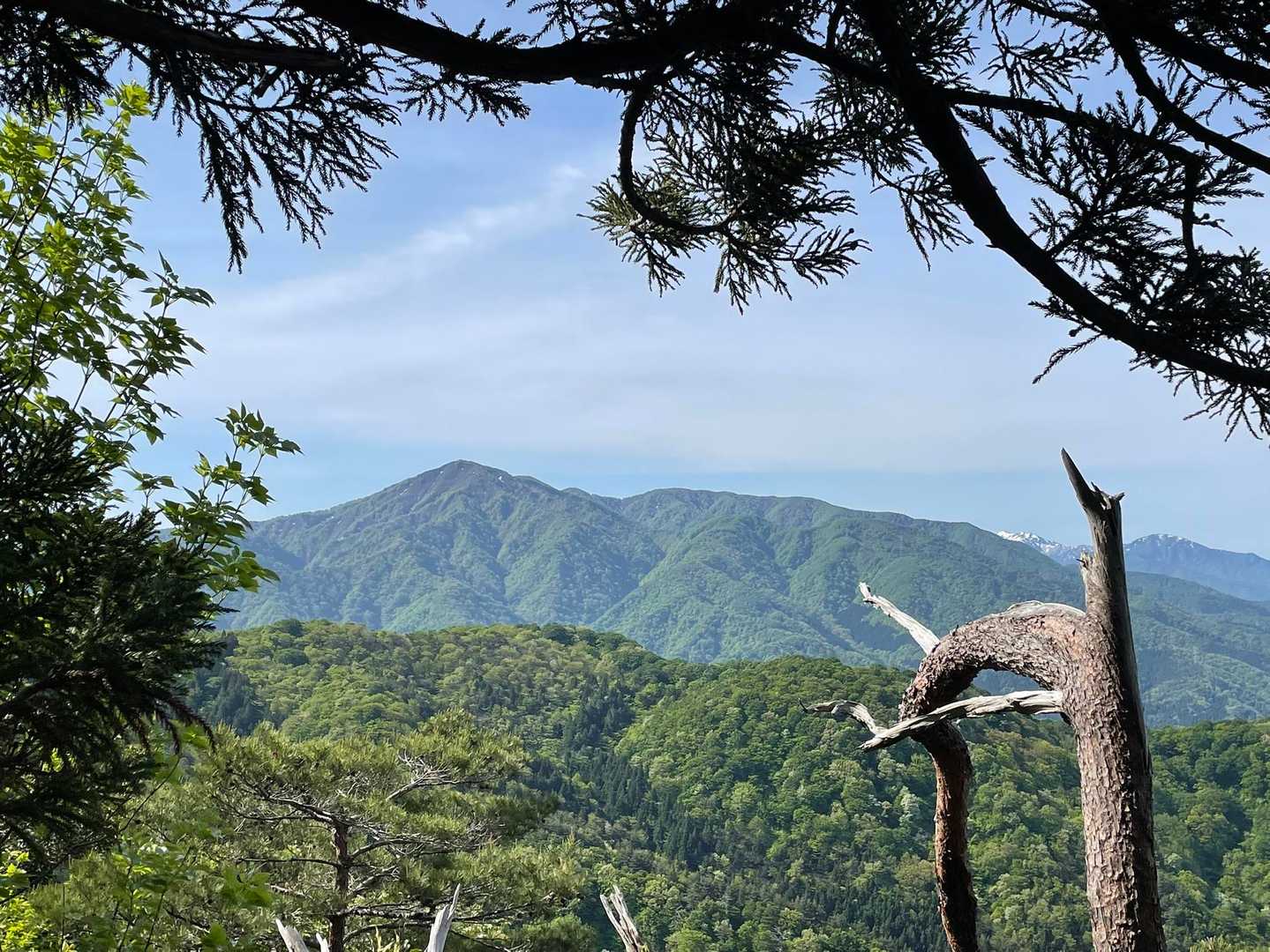 虛空蔵山からの菅名岳