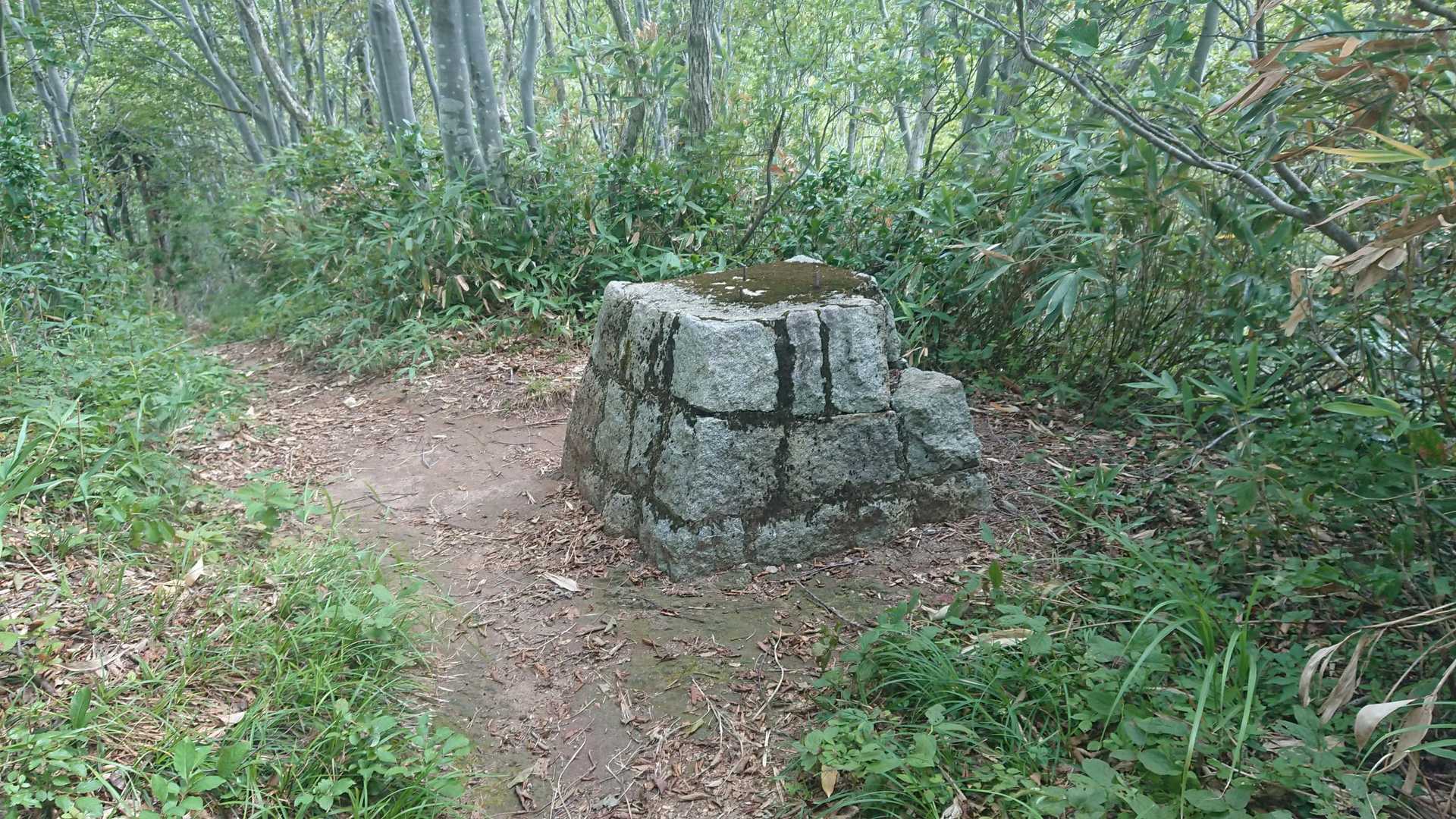 スキー場の名残でしょうか？
子供の頃、五頭山スキー場に1度だけ行ったことがありましたが、どこから何処に向かって滑り降りてたのか全く分からなくなってます。 以上
本日もおつかれ山でしたm(_ _)m