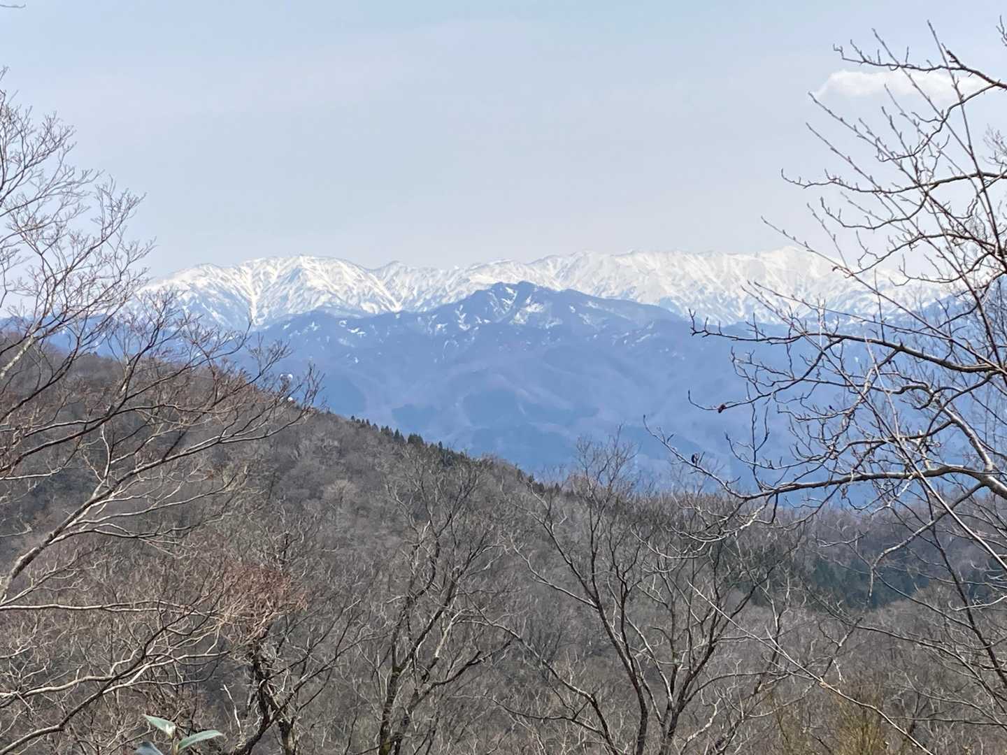 桜公園登山口-願文山-大峰山 周回コースの写真