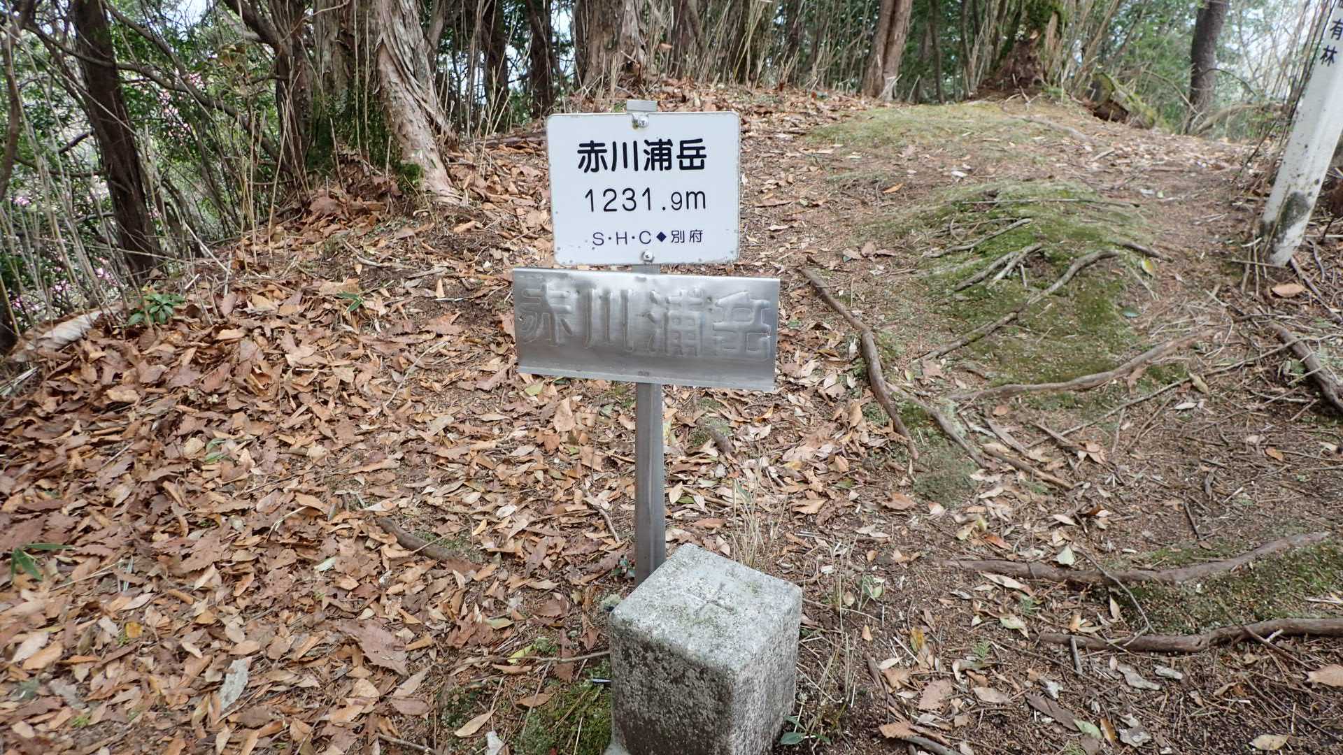 今日の予報は曇り