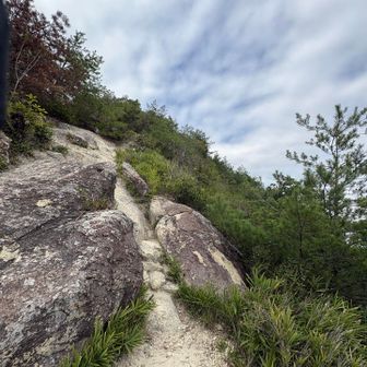 なかなか急です♪登りより下山のほうがちょっと心配