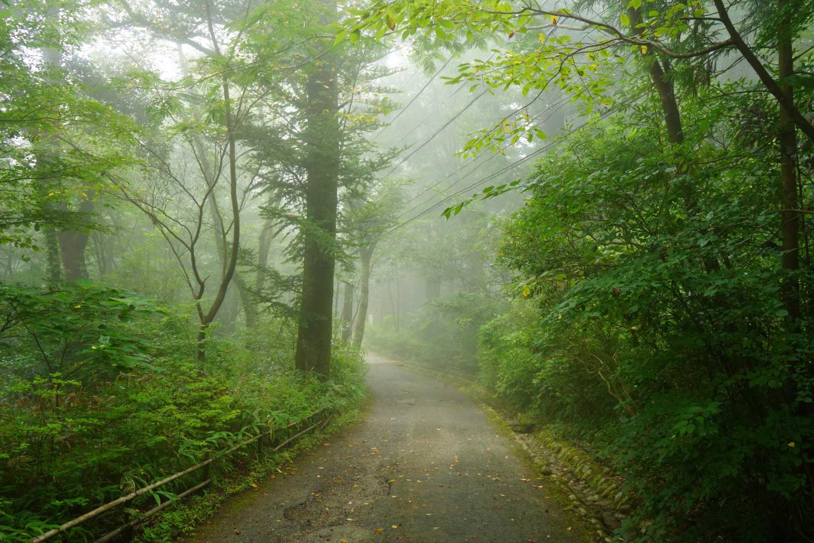 摩耶山→掬星台へ