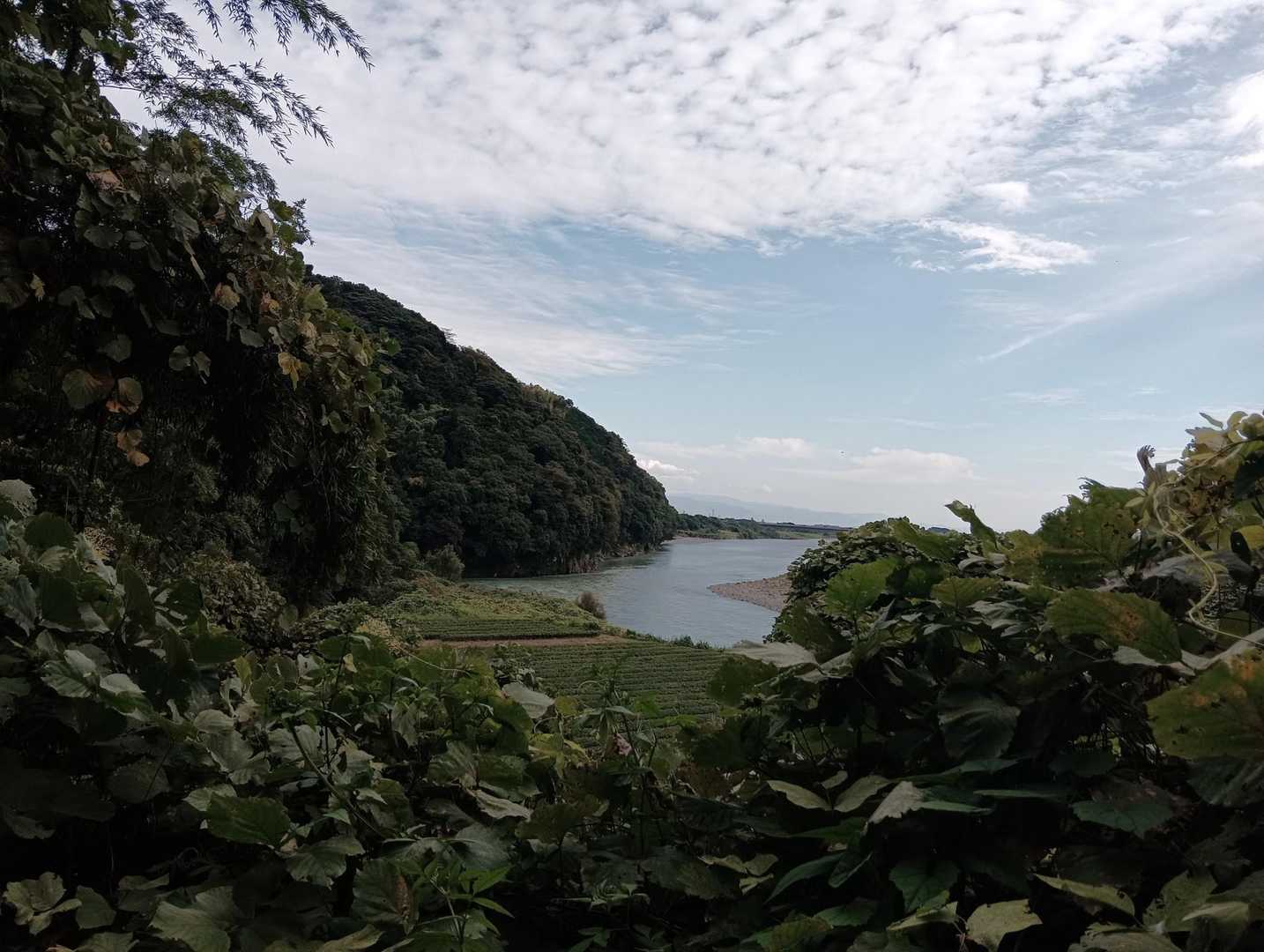 眼下に富士川