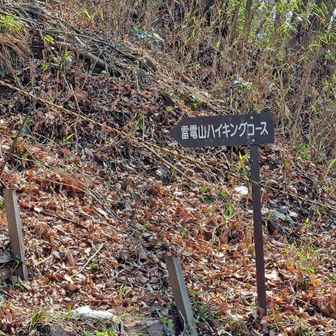 雷電山ハイキングコース