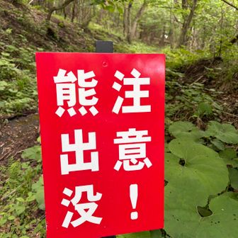 お疲れ様