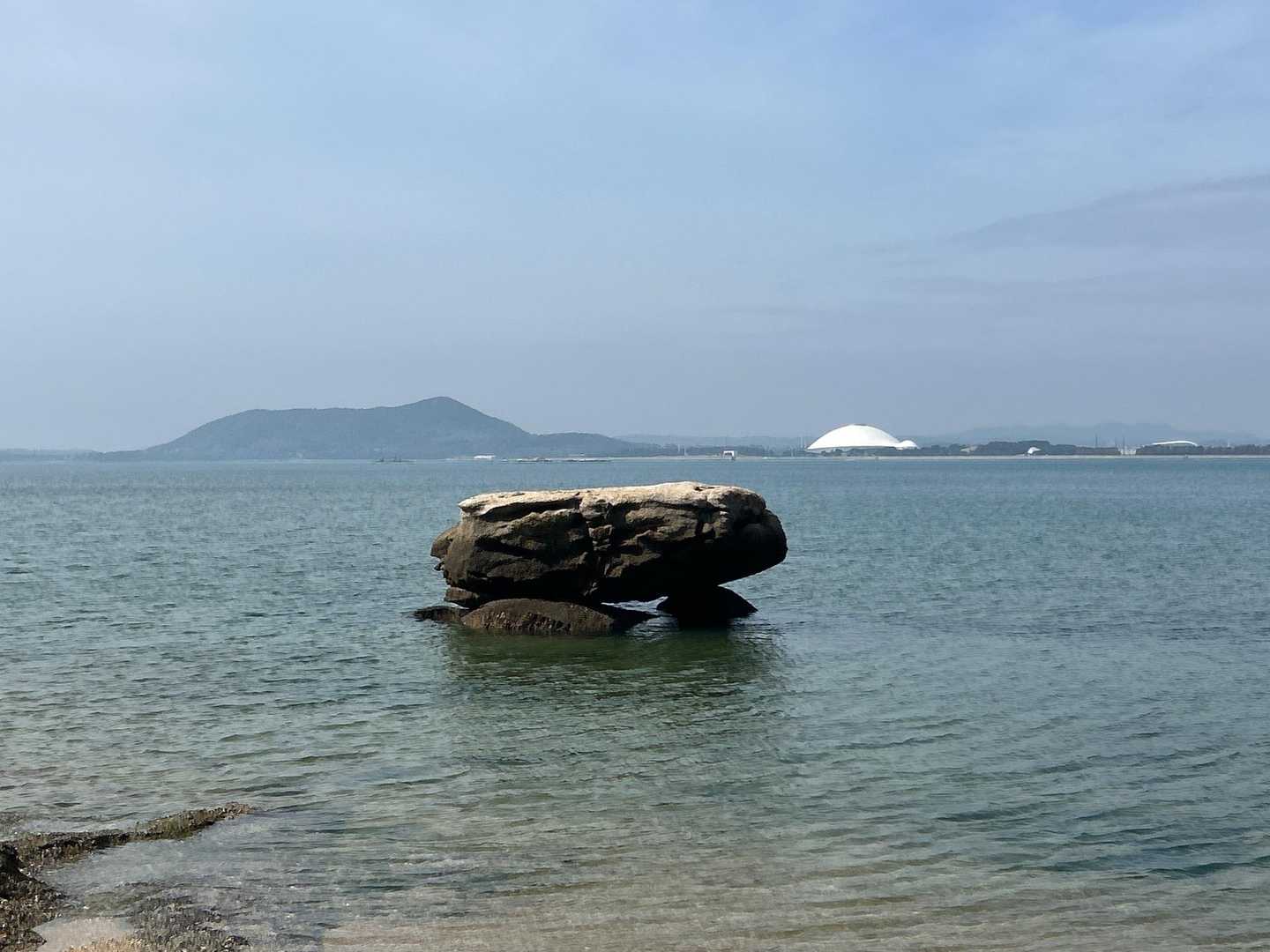 　　　　大きいなぁ🎶🤩