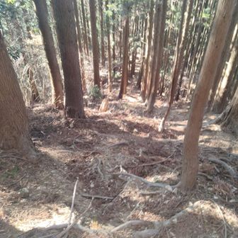 次のピークまでこんな感じの急斜面を下ってから…