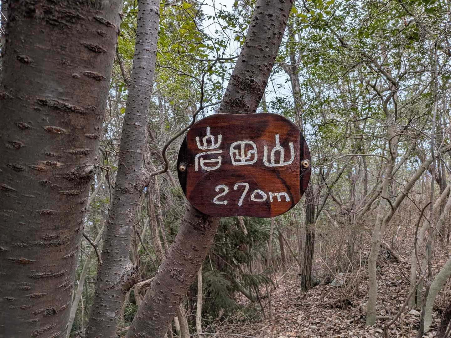300ピーク踏めました。
物足りないので、あとひとつ進みます