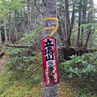 Googleマップだと立場岳