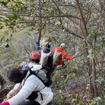 地獄岩からはチョコちゃんの提案でバリエーションルートで下山
楽しかった〜😍