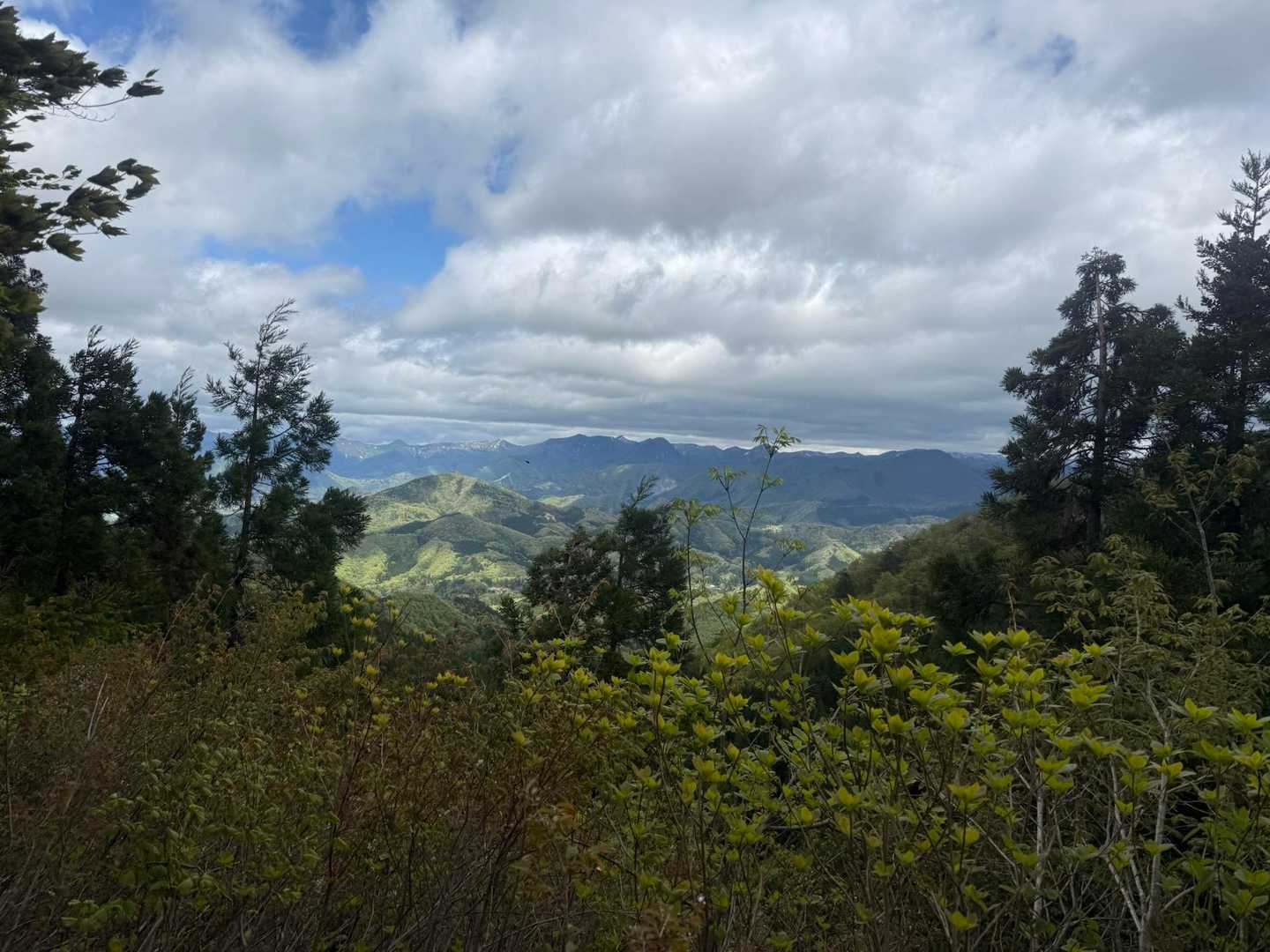 山寺観音千手院-雨呼山-鵜沢山-三角山-三角山登山口 縦走コースの写真