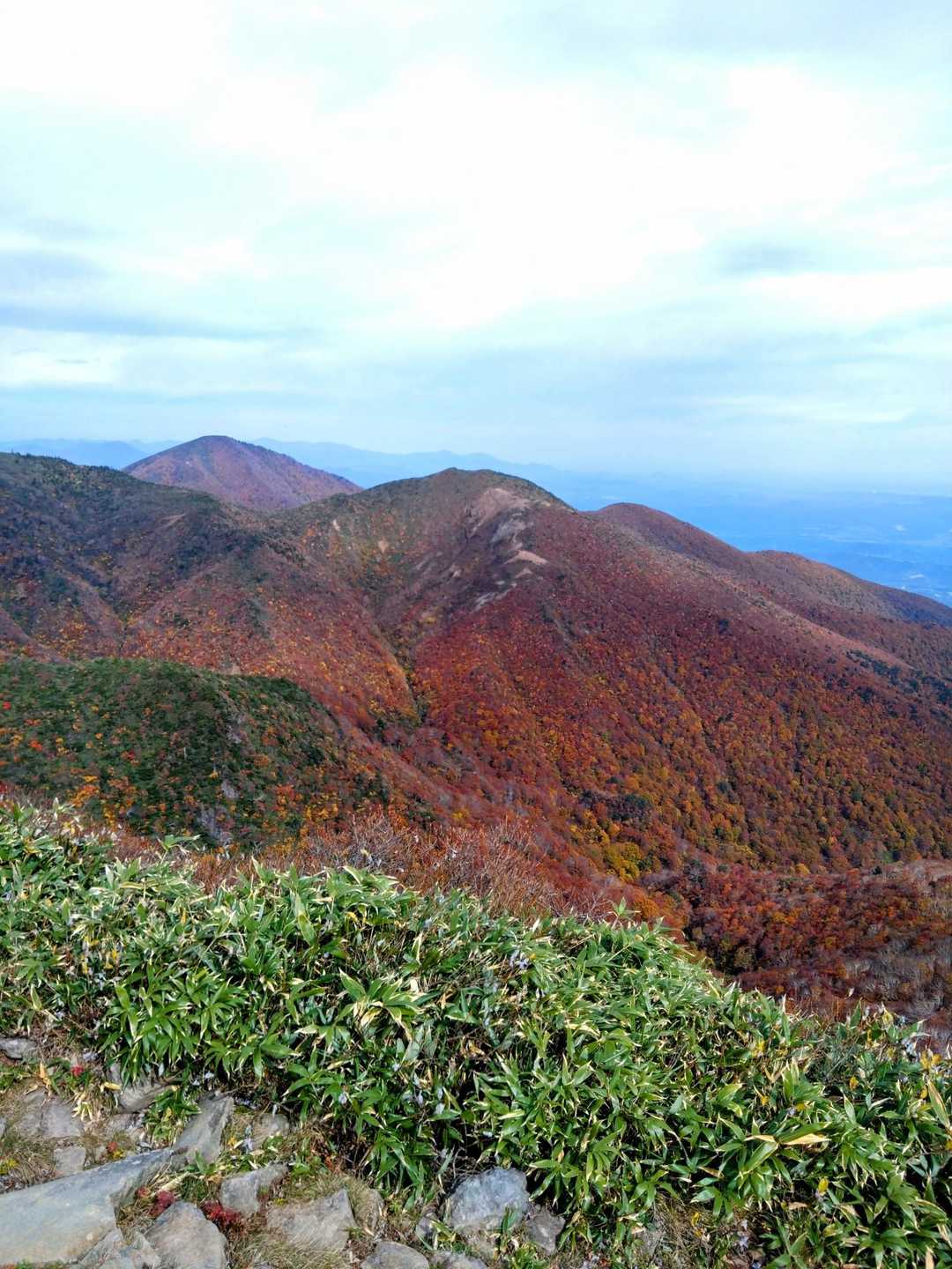 山が燃えるような赤さ🍁