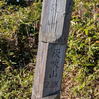 やっと灰ノ又山到着
ここからは藪漕ぎなさそうです