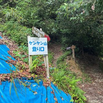 ここから急登になります