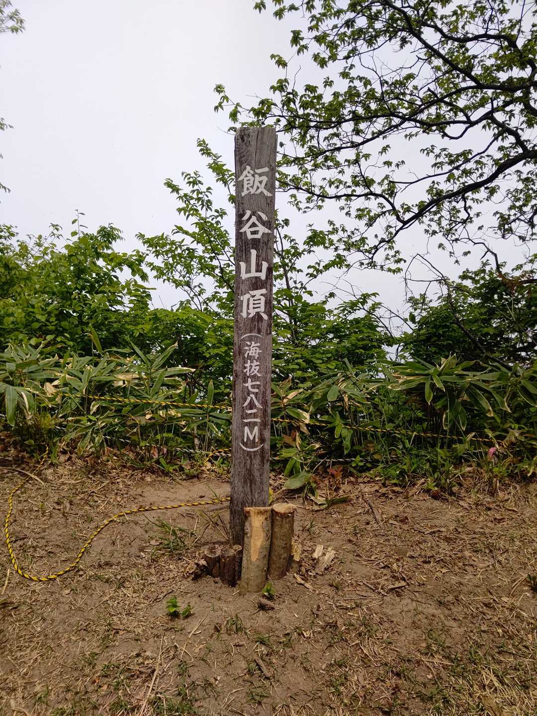 飯谷山 周回コースの写真