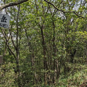 蛇ヶ岳山頂