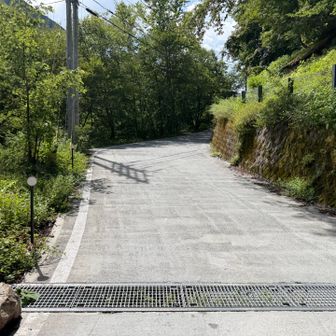 車道歩き。